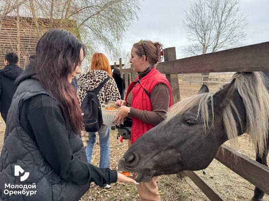 В Оренбурге состоялся патриотический проект «ОренЭкоМаршрут: территория природы и людей»